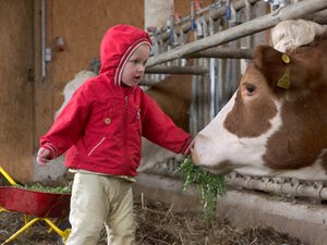 Kinder lieben den Kontakt mit Tieren am Bauernhof